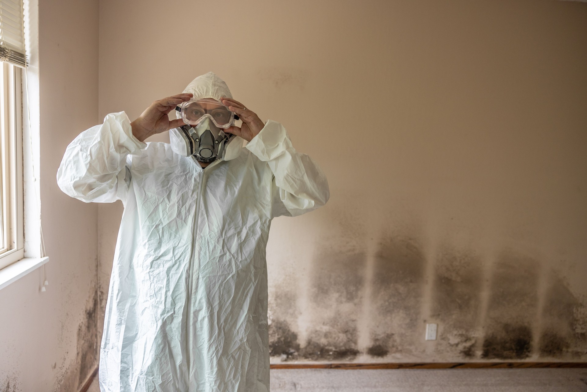 Home Mold Remediation